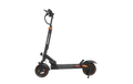 LIT-M4 Foldable Electric Scooter, 800W, 10-Inch Tires